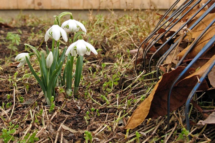 Wake up your property with a spring cleanup index