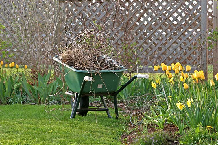 Kick-off-your-spring-landscaping-the-right-way-index