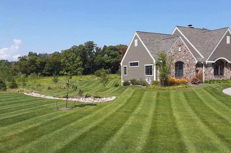 Summer turf issues index