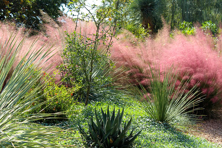 Texture in Landscape Design featured index